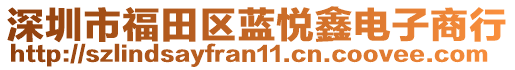 深圳市福田區(qū)藍(lán)悅鑫電子商行