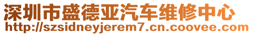 深圳市盛德亞汽車維修中心