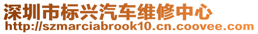 深圳市標(biāo)興汽車維修中心