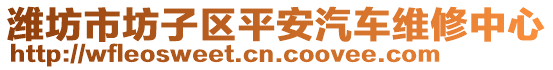 濰坊市坊子區(qū)平安汽車維修中心