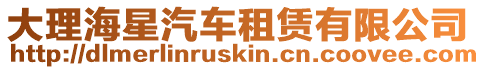 大理海星汽車租賃有限公司