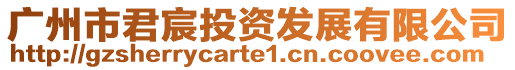 廣州市君宸投資發展有限公司