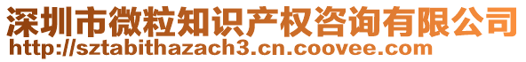 深圳市微粒知識產權咨詢有限公司