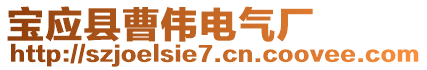 寶應縣曹偉電氣廠