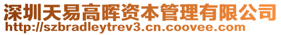 深圳天易高暉資本管理有限公司