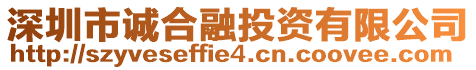 深圳市誠合融投資有限公司