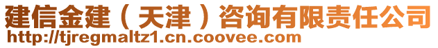 建信金建(天津)咨詢(xún)有限責(zé)任公司