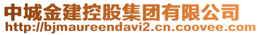 中城金建控股集團有限公司