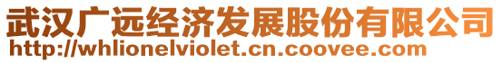 武漢廣遠(yuǎn)經(jīng)濟(jì)發(fā)展股份有限公司