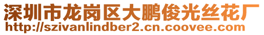 深圳市龍崗區(qū)大鵬俊光絲花廠