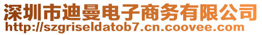 深圳市迪曼電子商務(wù)有限公司