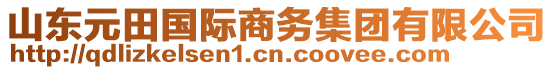 山東元田國際商務(wù)集團(tuán)有限公司