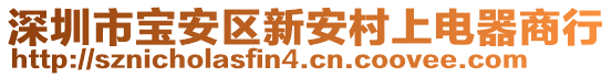 深圳市寶安區(qū)新安村上電器商行