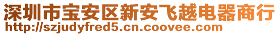 深圳市寶安區(qū)新安飛越電器商行