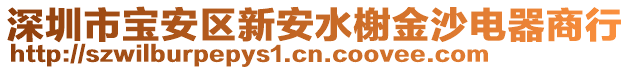 深圳市寶安區(qū)新安水榭金沙電器商行