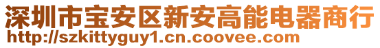 深圳市寶安區(qū)新安高能電器商行