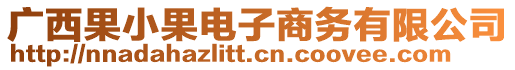 廣西果小果電子商務(wù)有限公司