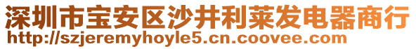 深圳市寶安區(qū)沙井利萊發(fā)電器商行