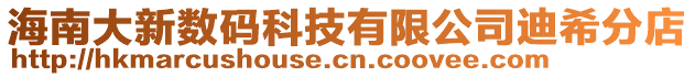 海南大新數(shù)碼科技有限公司迪希分店