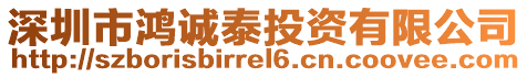 深圳市鴻誠泰投資有限公司