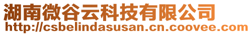 湖南微谷云科技有限公司