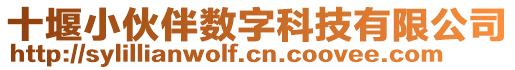 十堰小伙伴數(shù)字科技有限公司