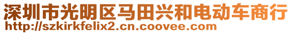 深圳市光明區(qū)馬田興和電動車商行