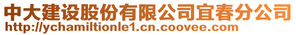 中大建設(shè)股份有限公司宜春分公司