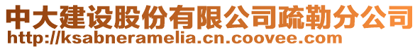 中大建設股份有限公司疏勒分公司