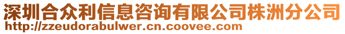 深圳合眾利信息咨詢有限公司株洲分公司