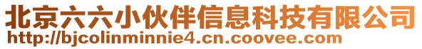 北京六六小伙伴信息科技有限公司