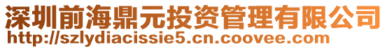 深圳前海鼎元投資管理有限公司