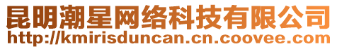 昆明潮星網絡科技有限公司