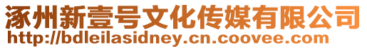 涿州新壹號文化傳媒有限公司
