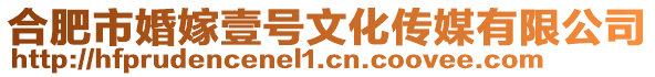 合肥市婚嫁壹號文化傳媒有限公司