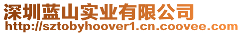 深圳藍山實業有限公司
