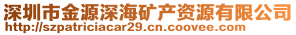 深圳市金源深海礦產(chǎn)資源有限公司