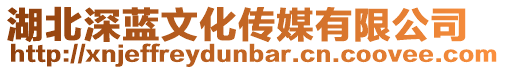 湖北深藍(lán)文化傳媒有限公司