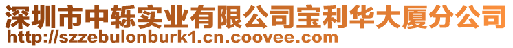 深圳市中轢實業有限公司寶利華大廈分公司