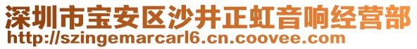 深圳市寶安區(qū)沙井正虹音響經(jīng)營(yíng)部