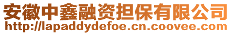 安徽中鑫融資擔(dān)保有限公司