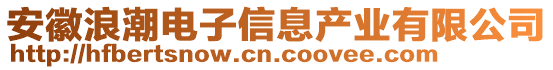 安徽浪潮電子信息產(chǎn)業(yè)有限公司