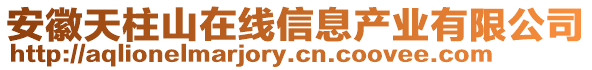 安徽天柱山在線信息產(chǎn)業(yè)有限公司