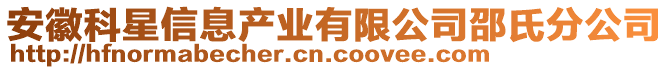 安徽科星信息產業(yè)有限公司邵氏分公司