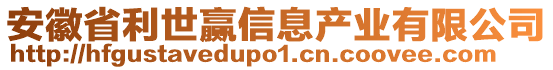 安徽省利世贏信息產(chǎn)業(yè)有限公司