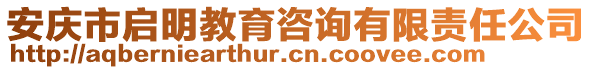 安慶市啟明教育咨詢有限責(zé)任公司