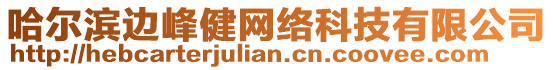 哈爾濱邊峰健網(wǎng)絡(luò)科技有限公司