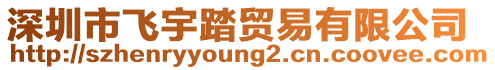 深圳市飛宇踏貿易有限公司