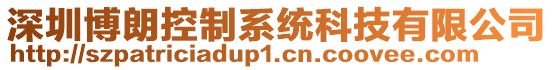 深圳博朗控制系統科技有限公司