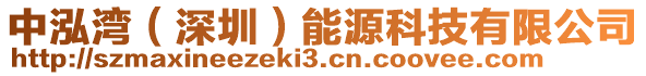 中泓灣(深圳)能源科技有限公司